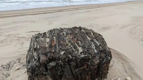 Rubber bales from WWII-era German cargo ship wash up along Texas beaches