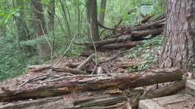 Woman falls to her death walking dogs on unauthorized Sandy Springs trail