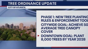 New tree rules now in effect in the City of Atlanta