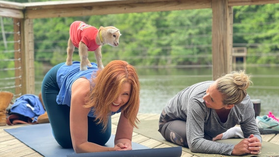 Goat Yoga offers unique way to de-stress in metro Atlanta