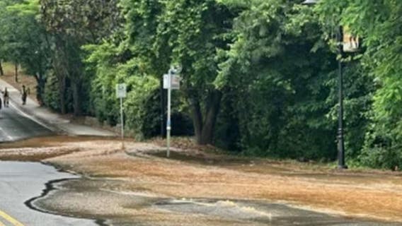 Circle 75 Parkway near Truist Park reopens after water main break