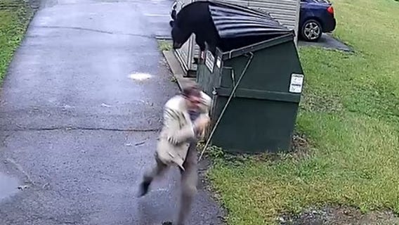Watch: Surprised principal darts after bear pops out of school dumpster
