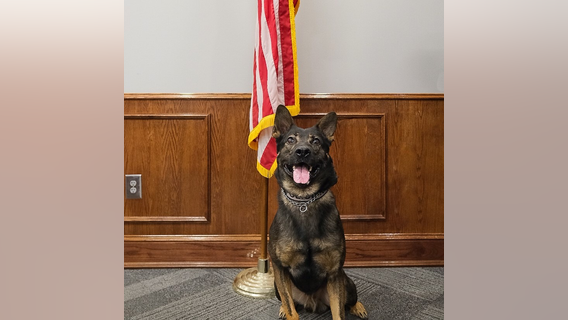 Carrollton Police Department mourns unexpected death of young K-9 officer