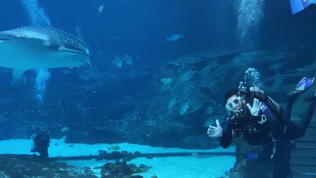 Veterans find PTSD relief through scuba diving program