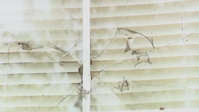 Bullets tear through DeKalb County home during 5-year-old's birthday party