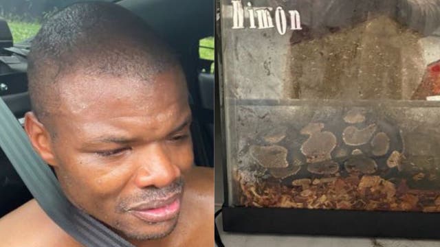 Multiple animals found in room related to Clayton County motel incident Thursday