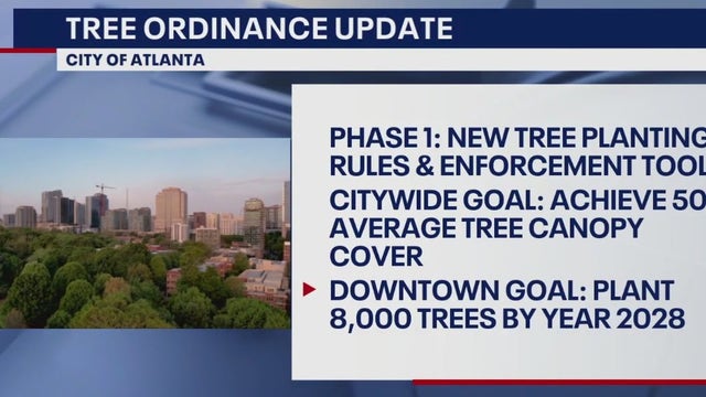 New tree rules now in effect in the City of Atlanta