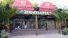 Zoo Atlanta unveils $6 admission for Georgia SNAP families