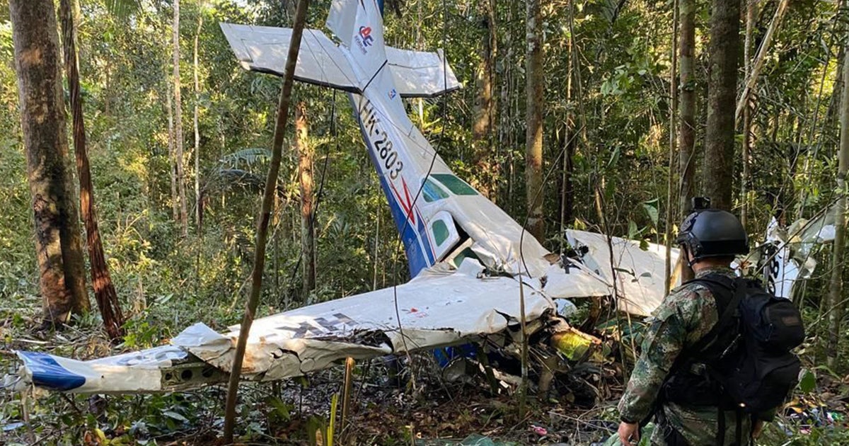 Children missing for 40 days after plane crash in Amazon jungle found ...