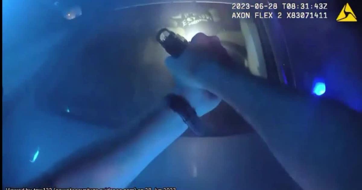 Teens wanted for dozens of car break-ins arrested after high-speed ...