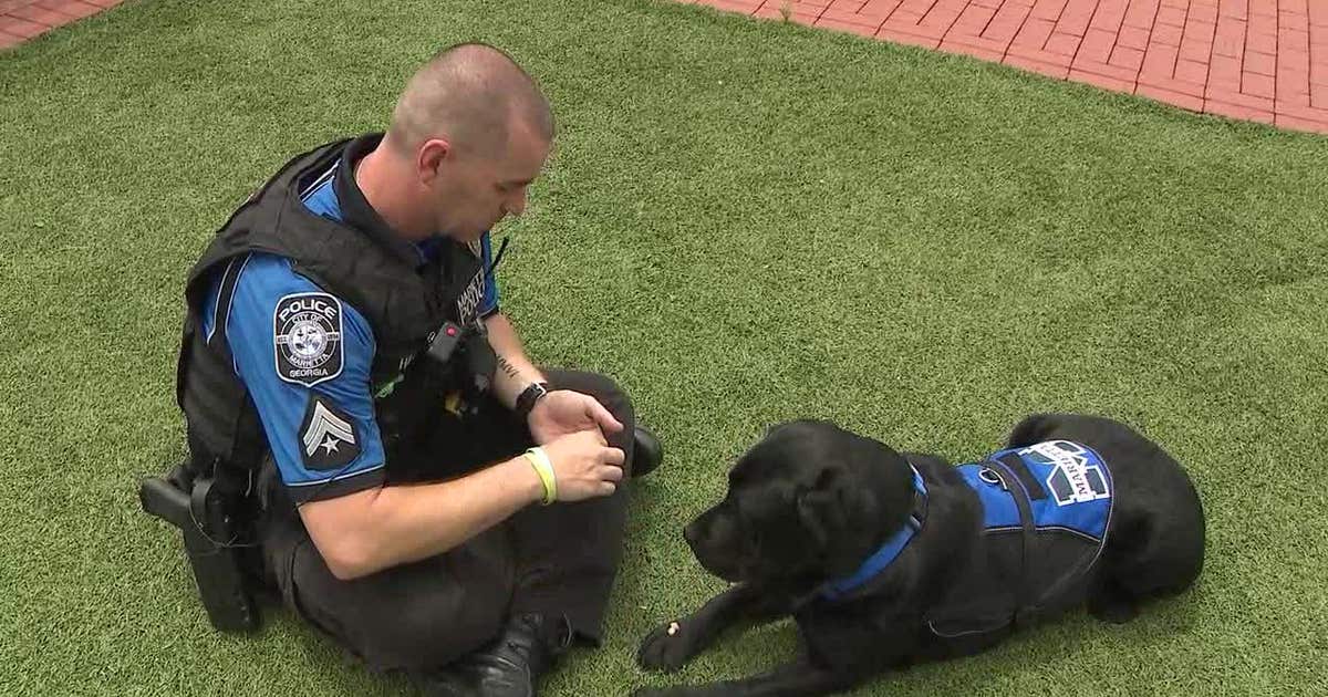 Meet Officer Barney: Marietta Police's crisis-response K-9 | FOX 5 Atlanta