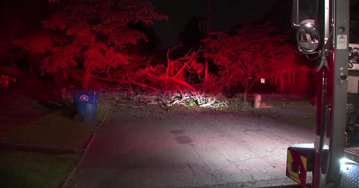 Falling tree traps Atlanta woman in home | FOX 5 Atlanta