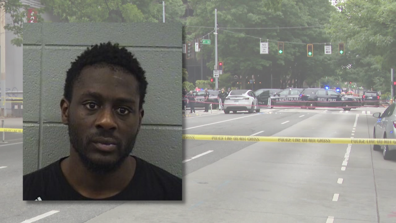 Bail set at $10M for man accused of randomly shooting into car, killing pregnant woman in Seattle - Vimarsana News