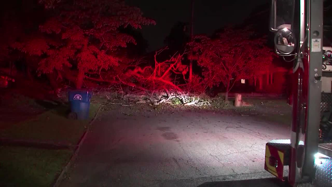 Falling tree traps Atlanta woman in home