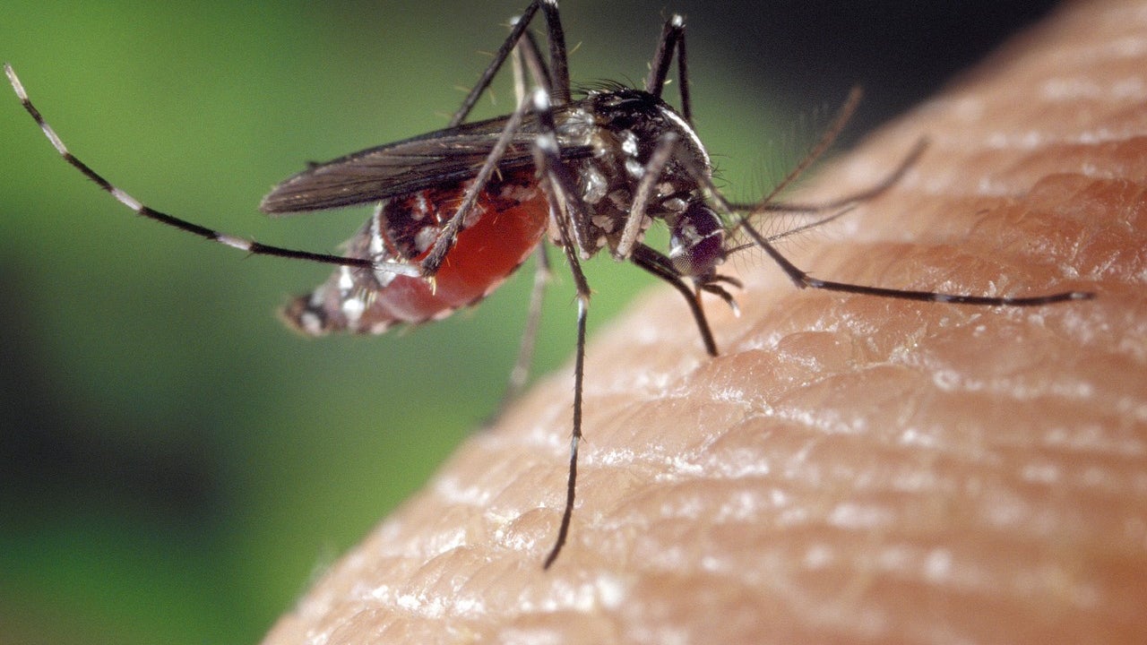 Warning Issued by DeKalb County Wellness Officials Following Optimistic West Nile Virus Test