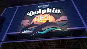 Summer at Georgia Aquarium highlights birds, beer, and bands