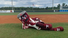 Plant-based group calls on Macon Bacon baseball team to change name over 'glorification of bacon'