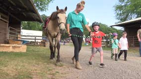 Community rallies after horse riding center known for helping kids with special needs burns down