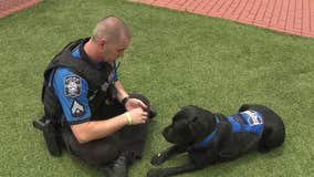 Meet Officer Barney: Marietta Police's crisis-response K-9