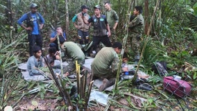 Searchers who found children missing for 40 days turned to ayahuasca for help