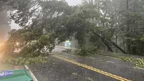 Severe storms topple trees, leave thousands without power in Georgia