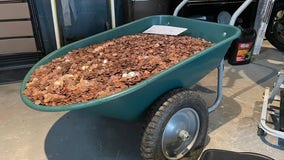 Georgia auto shop owner must pay $39K after paying former employee in oil-covered pennies