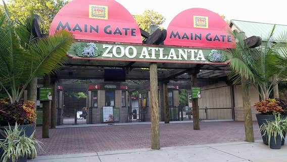 Zoo Atlanta delays opening on Monday because of cold temps