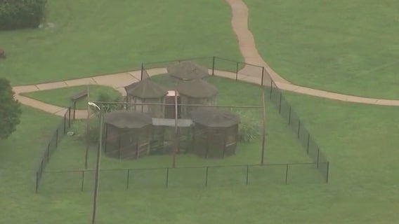 Noah's Ark in Henry County facing lawsuit from former veterinarian