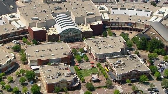 Mall of Georgia thefts: 19 arrested for $5.3K in thefts, police say