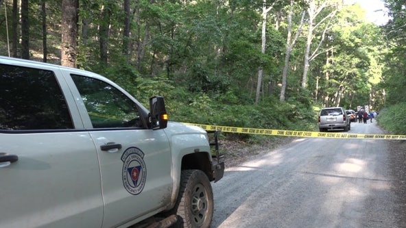 Pilot seen slumped over before deadly Virginia plane crash, officials say