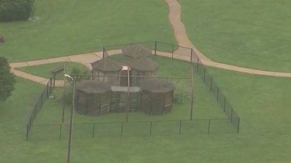 Noah's Ark in Henry County facing lawsuit from former veterinarian