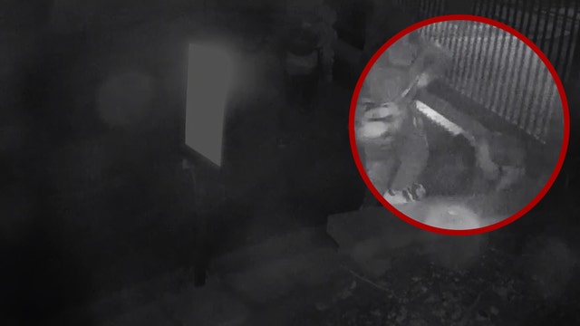 Thieves smash into Conyers police cruiser, 36 other cars in daring early morning crime spree