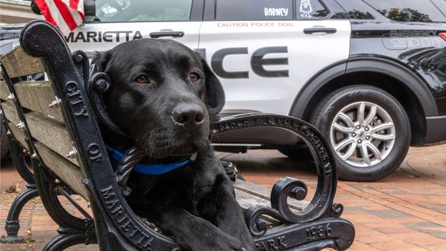 Crisis dog helps save Georgia woman's life