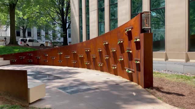 Eternal flame lit for Atlanta's missing and murdered children