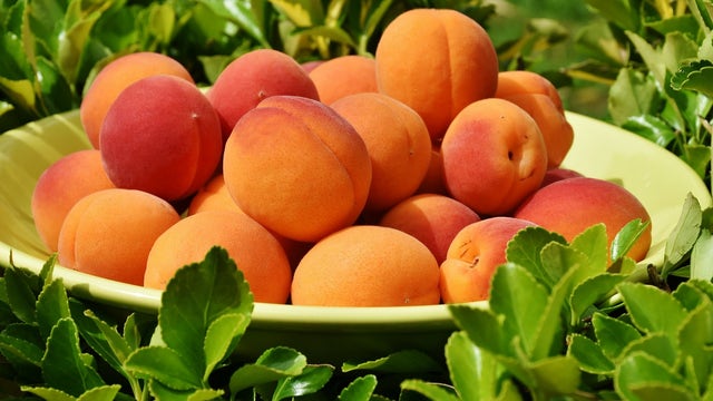 Georgia sees major peach crop shortage after warm winter
