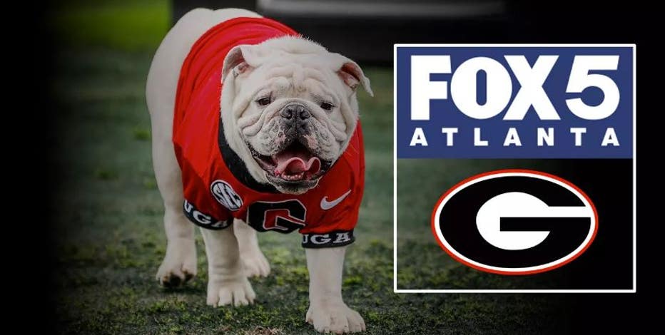 Year of sports in Georgia: Hawks, Braves and Bulldogs