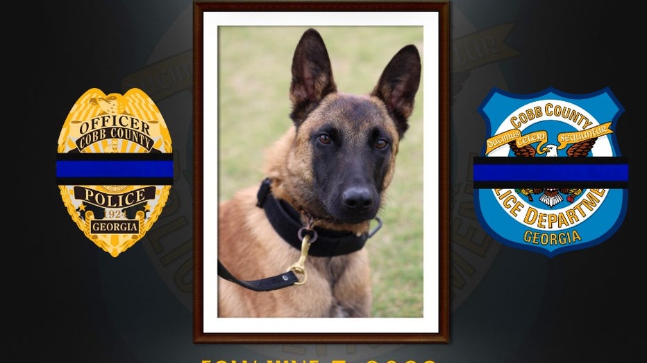 U.P. community mourning death of beloved police dog, Tucker 