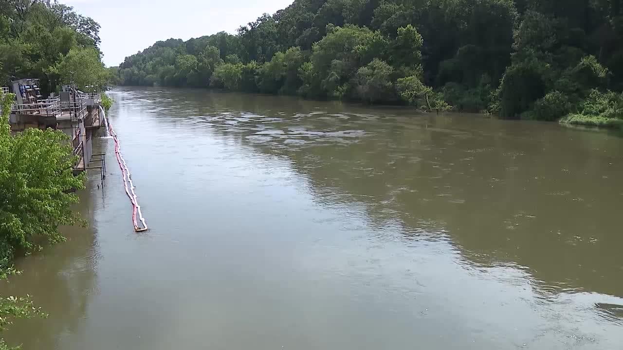 Sewage overflows, drought, heavy runoff blamed for massive Chattahoochee River fish kill