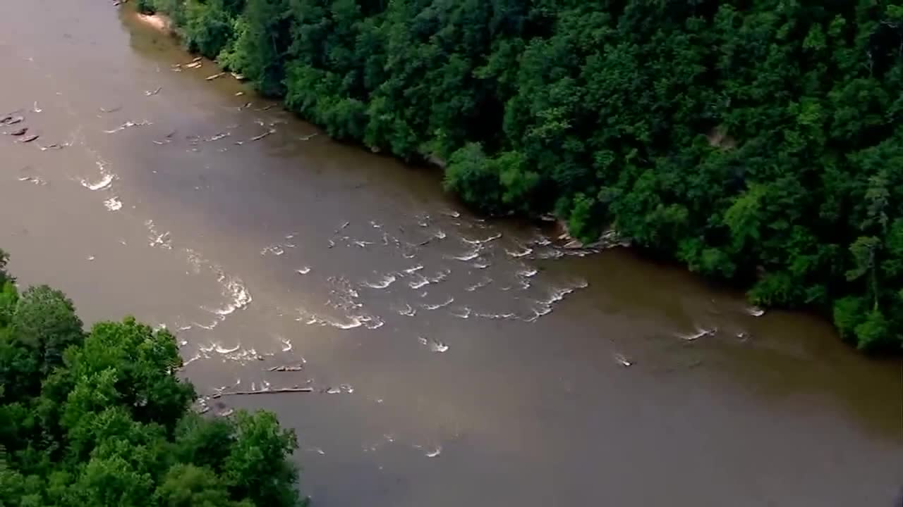 Chattahoochee River fish kill: Water quality tests underway