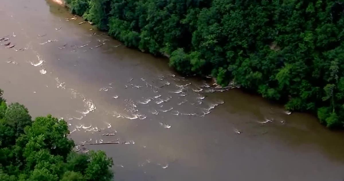 Sewage overflows, drought, and heavy runoff blamed for massive Chattahoochee River fish kill