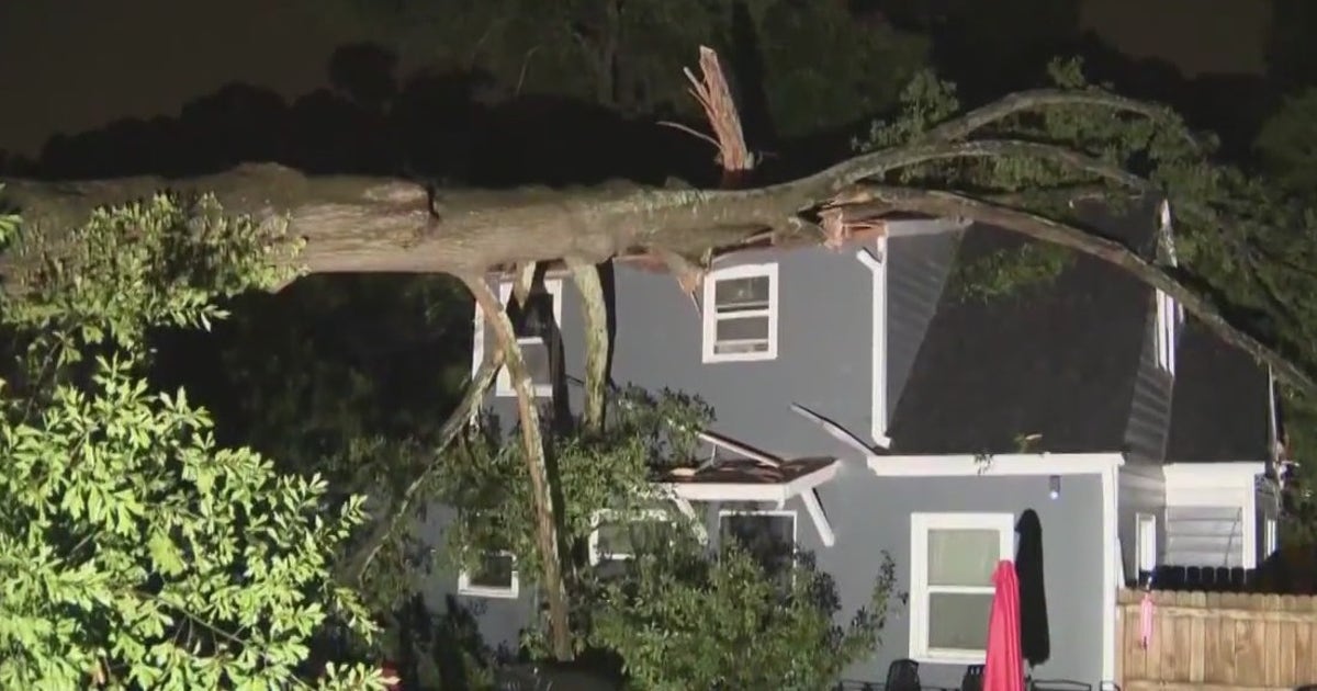 Woman recovering after large tree falls on NW Atlanta home | FOX 5 Atlanta