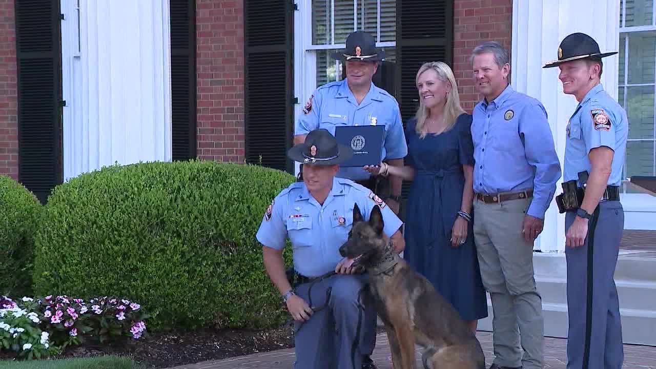 Georgia awards badges to 12 new K9 officers including rescued German shepherd Georgia awards badges to 12 new K9 officers including rescued German shepherd