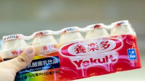 Japanese probiotic milk company plans $305M plant near Atlanta