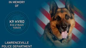 Lawrenceville PD K9 Hyro dies during surgery, laid to rest after 'impressive career'