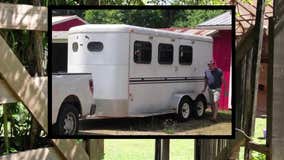 Horse trailer stolen from therapy farm puts 22 animals at risk