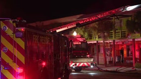 Dozens of animals killed in fire at Alligator Wildlife Discovery Center in Madeira Beach: ‘It’s devastating’