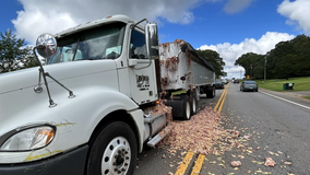 Chicken parts spill in Cherokee County temporarily closes part of Cumming Highway