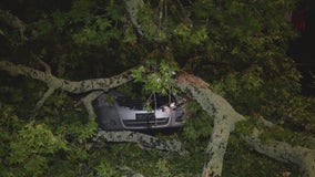 Overnight storms knock out power, take down trees in metro Atlanta, North Georgia