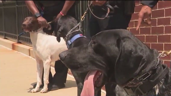 K-9s, gang officers added to Atlanta Public Schools' police force