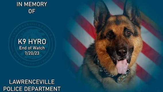 Lawrenceville PD K9 Hyro dies during surgery, laid to rest after 'impressive career'